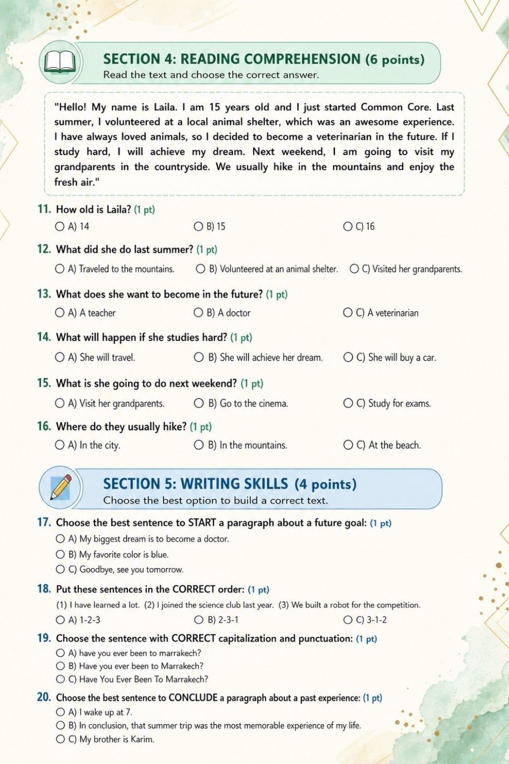 Common Core Skills Test preview